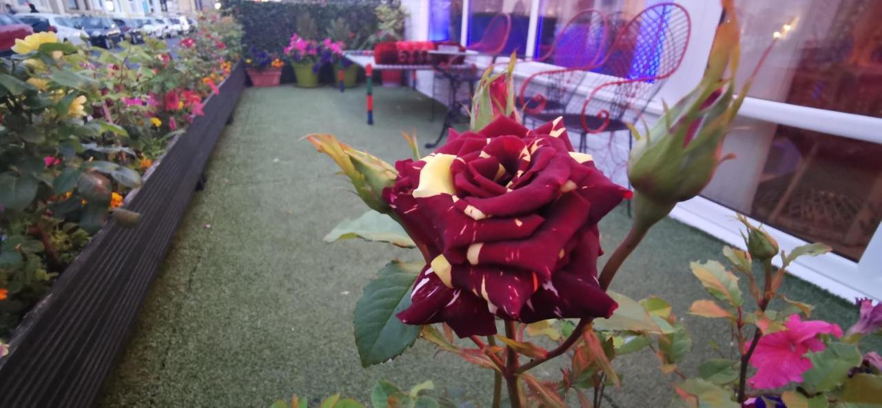 בלקפול Bukhari Hotel מראה חיצוני תמונה